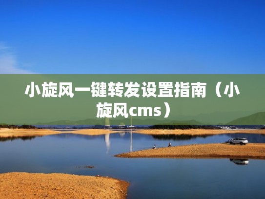 小旋风一键转发设置指南（小旋风cms）
