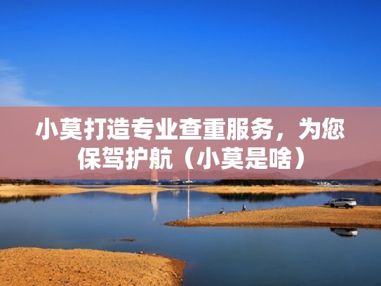 小莫打造专业查重服务，为您保驾护航（小莫是啥）