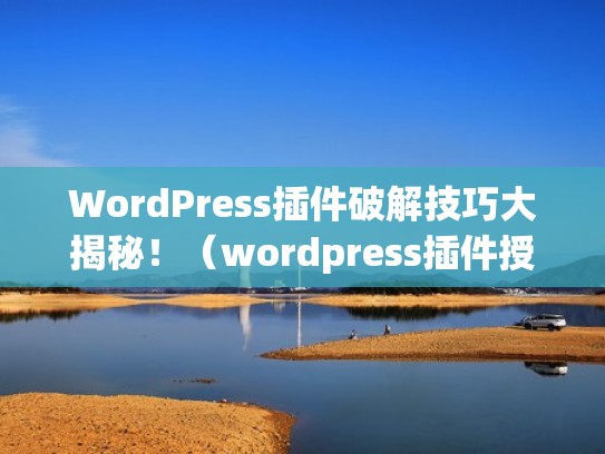 WordPress插件破解技巧大揭秘！（wordpress插件授权破解）