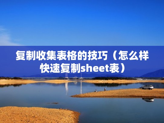 复制收集表格的技巧（怎么样快速复制sheet表）