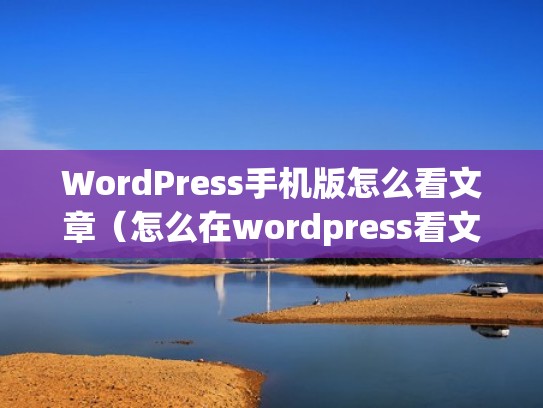 WordPress手机版怎么看文章（怎么在wordpress看文章）