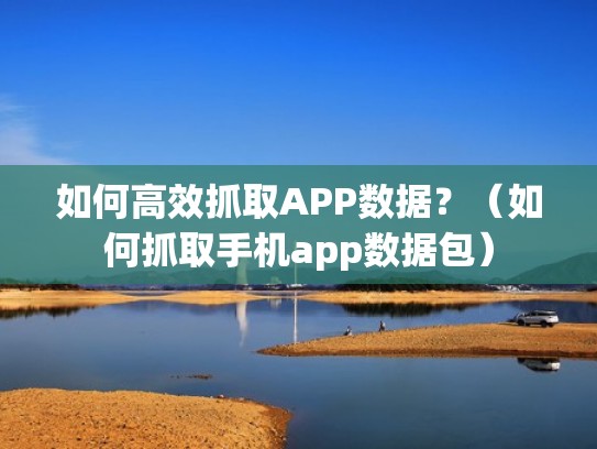如何高效抓取APP数据？（如何抓取手机app数据包）