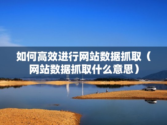 如何高效进行网站数据抓取（网站数据抓取什么意思）