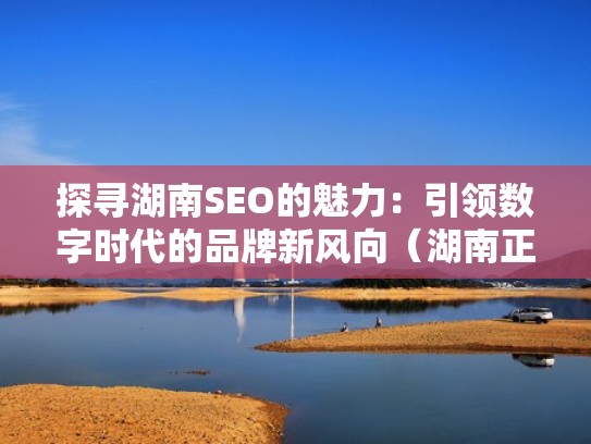 探寻湖南SEO的魅力：引领数字时代的品牌新风向（湖南正规seo公司）