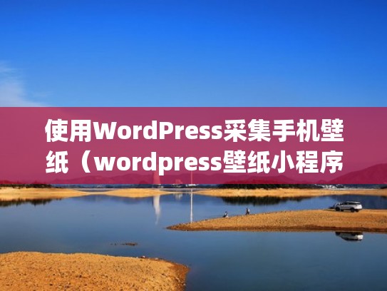 使用WordPress采集手机壁纸（wordpress壁纸小程序采集）