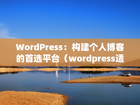 WordPress：构建个人博客的首选平台（wordpress适合做博客的主题）