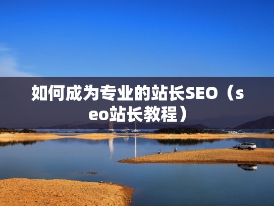 如何成为专业的站长SEO（seo站长教程）
