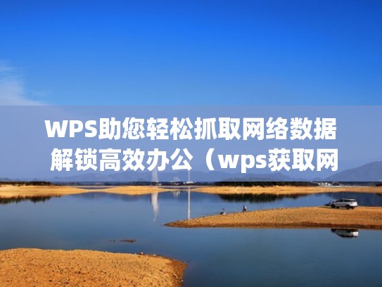 WPS助您轻松抓取网络数据 解锁高效办公（wps获取网络数据）