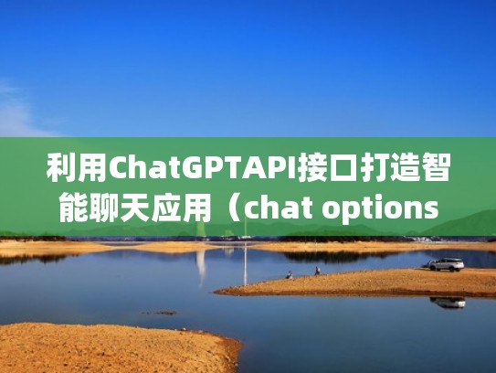 利用ChatGPTAPI接口打造智能聊天应用（chat options）