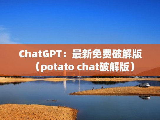 ChatGPT：最新免费破解版（potato chat破解版）