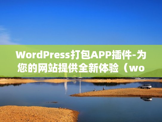 WordPress打包APP插件-为您的网站提供全新体验（wordpress打包成app）