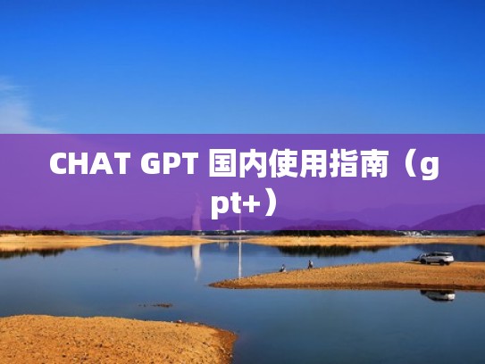 CHAT GPT 国内使用指南（gpt+）