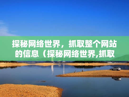 探秘网络世界，抓取整个网站的信息（探秘网络世界,抓取整个网站的信息的方法）
