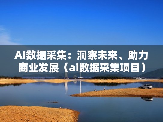 AI数据采集：洞察未来、助力商业发展（ai数据采集项目）