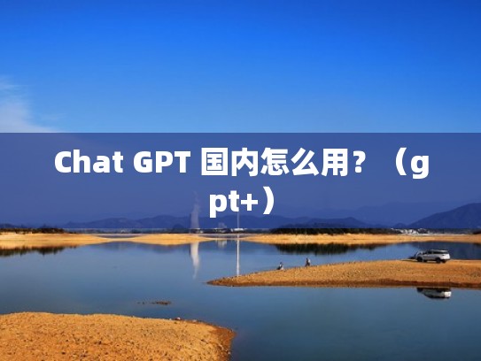 Chat GPT 国内怎么用？（gpt+）
