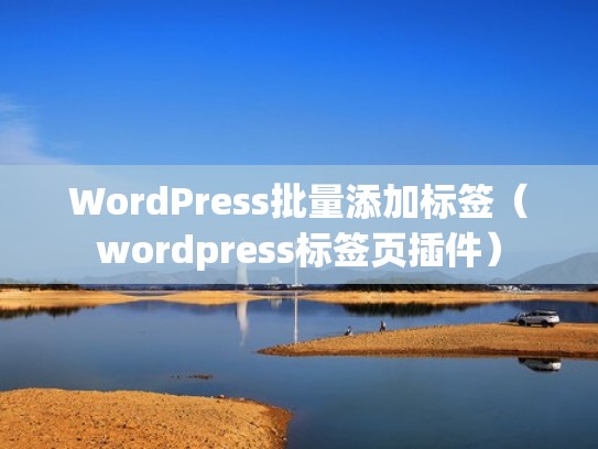 WordPress批量添加标签（wordpress标签页插件）