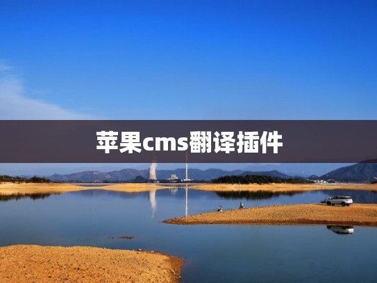 苹果cms翻译插件