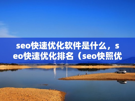 seo快速优化软件是什么，seo快速优化排名（seo快照优化）