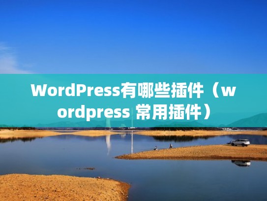 WordPress有哪些插件（wordpress 常用插件）