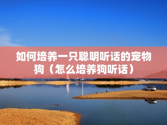 如何培养一只聪明听话的宠物狗（怎么培养狗听话）