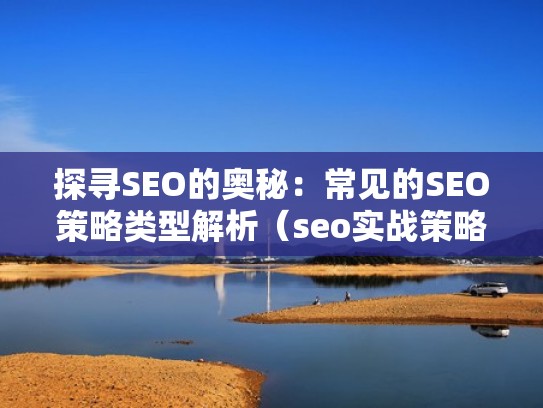 探寻SEO的奥秘：常见的SEO策略类型解析（seo实战策略）