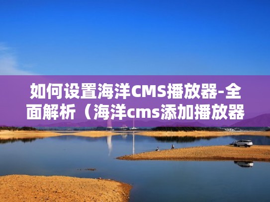 如何设置海洋CMS播放器-全面解析（海洋cms添加播放器）