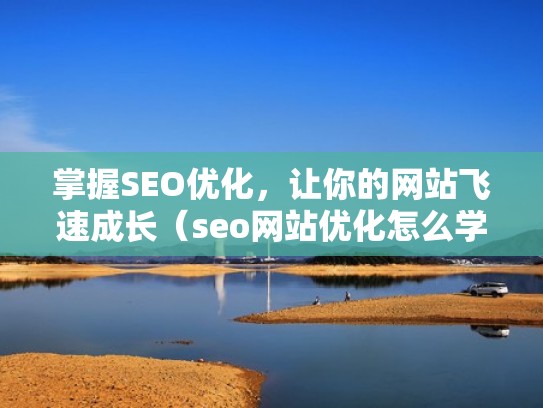 掌握SEO优化，让你的网站飞速成长（seo网站优化怎么学）