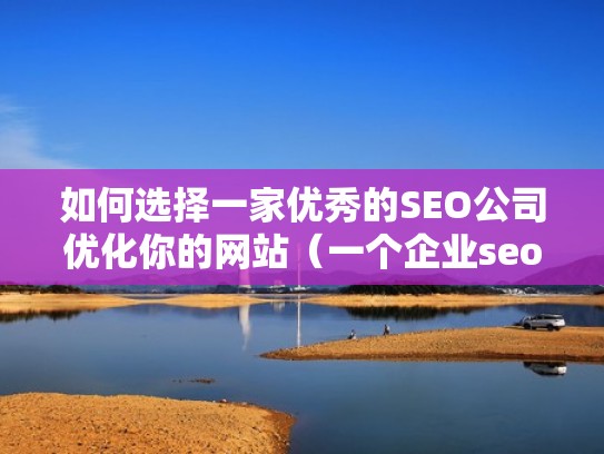 如何选择一家优秀的SEO公司优化你的网站（一个企业seo网站的优化流程）
