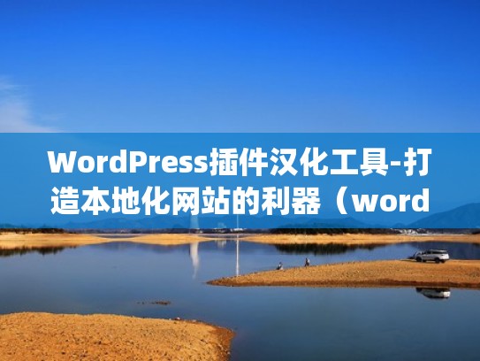 WordPress插件汉化工具-打造本地化网站的利器（wordpress中文seo插件）