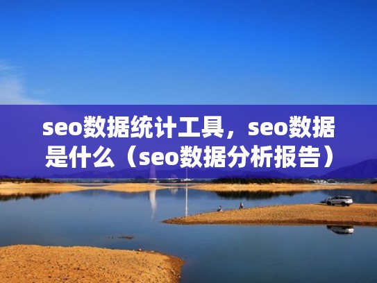 seo数据统计工具，seo数据是什么（seo数据分析报告）