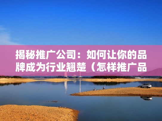 揭秘推广公司：如何让你的品牌成为行业翘楚（怎样推广品牌）