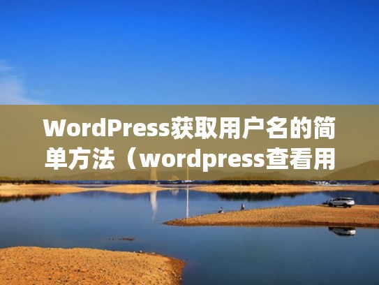 WordPress获取用户名的简单方法（wordpress查看用户密码）
