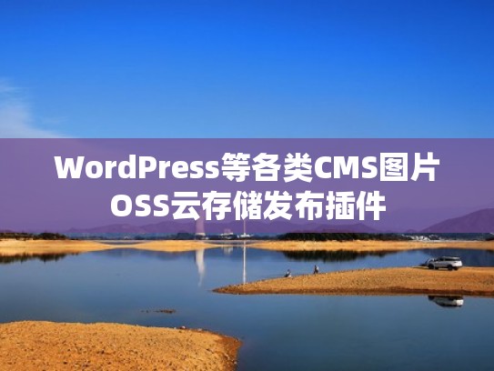 WordPress等各类CMS图片OSS云存储发布插件