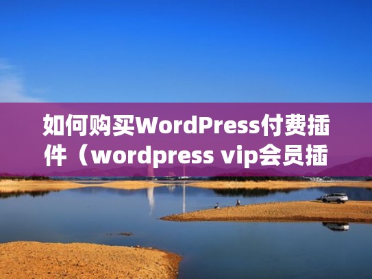 如何购买WordPress付费插件（wordpress vip会员插件）