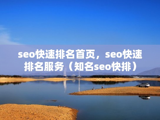 seo快速排名首页，seo快速排名服务（知名seo快排）