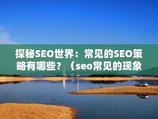 探秘SEO世界：常见的SEO策略有哪些？（seo常见的现象）