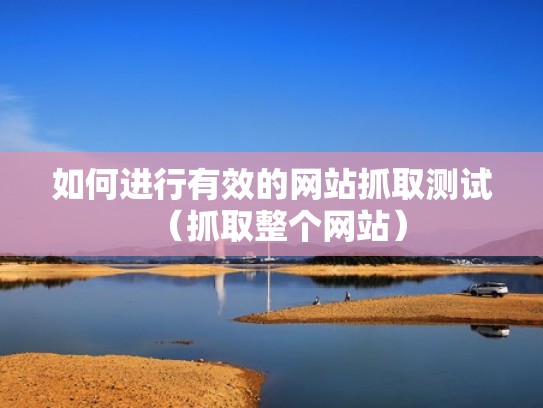 如何进行有效的网站抓取测试（抓取整个网站）