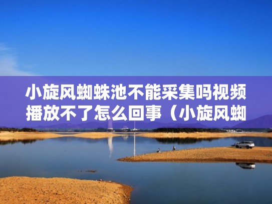 小旋风蜘蛛池不能采集吗视频播放不了怎么回事（小旋风蜘蛛池怎么样）