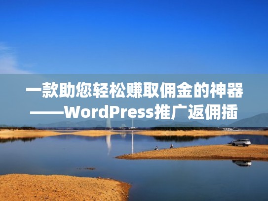 一款助您轻松赚取佣金的神器——WordPress推广返佣插件（wordpress推送）