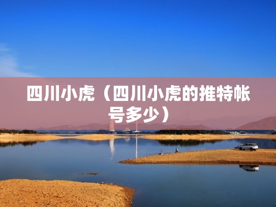 四川小虎（四川小虎的推特帐号多少）