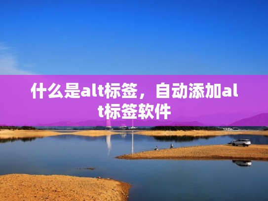 什么是alt标签，自动添加alt标签软件