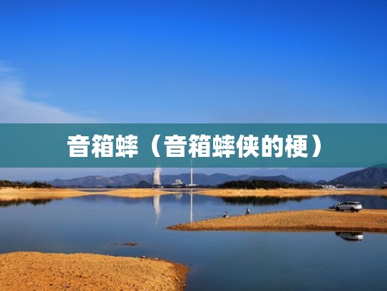 音箱蟀(音箱蟀侠的梗) 音箱蟀(音箱蟀侠的梗)