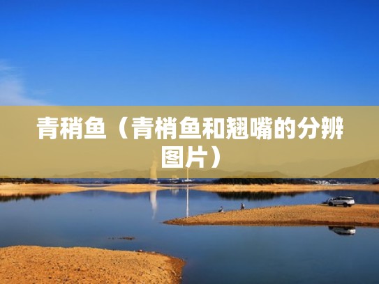 青稍鱼（青梢鱼和翘嘴的分辨图片）