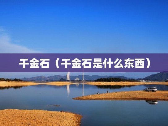 千金石(千金石是什么东西) 千金石(千金石是什么东西)