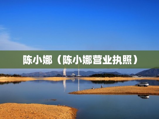 陈小娜（陈小娜营业执照）