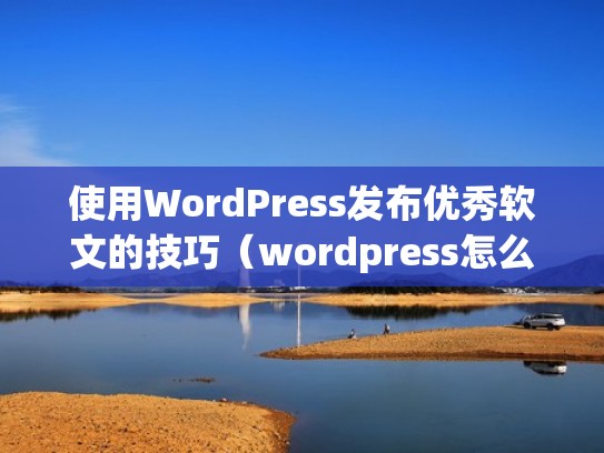 使用WordPress发布优秀软文的技巧（wordpress怎么发表文章）