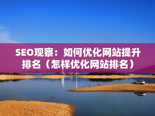 SEO观察：如何优化网站提升排名（怎样优化网站排名）