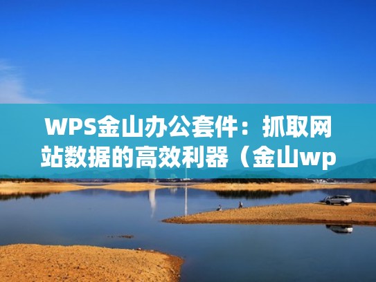 WPS金山办公套件：抓取网站数据的高效利器（金山wps office）