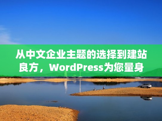 从中文企业主题的选择到建站良方，WordPress为您量身定制（wordpress 企业站）