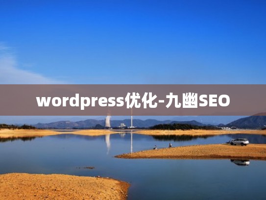 wordpress优化-九幽SEO